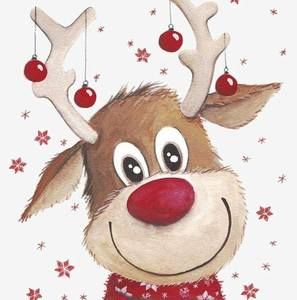 Meet your Posher, Dora